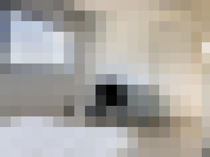  / #7