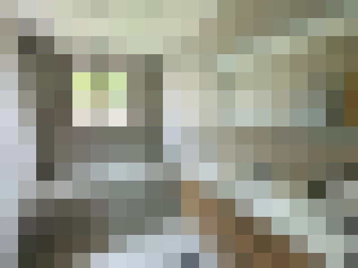 / #8