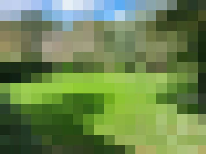  / #18