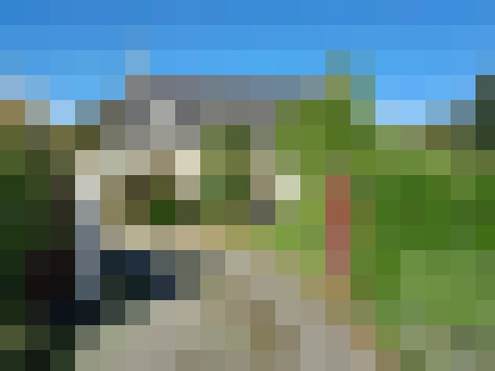  / #19