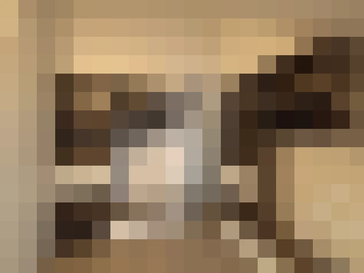  / #11