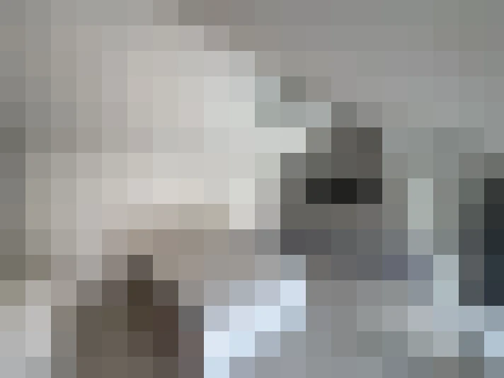  / #15