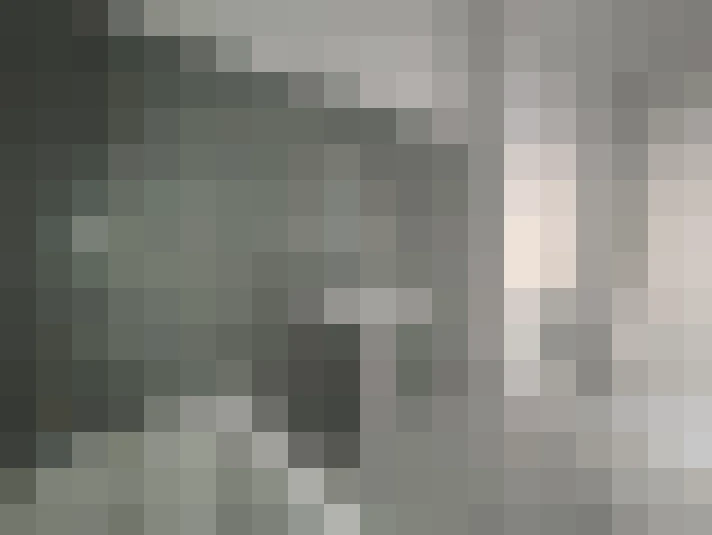  / #15