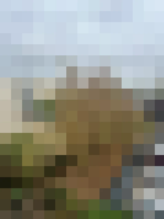  / #6