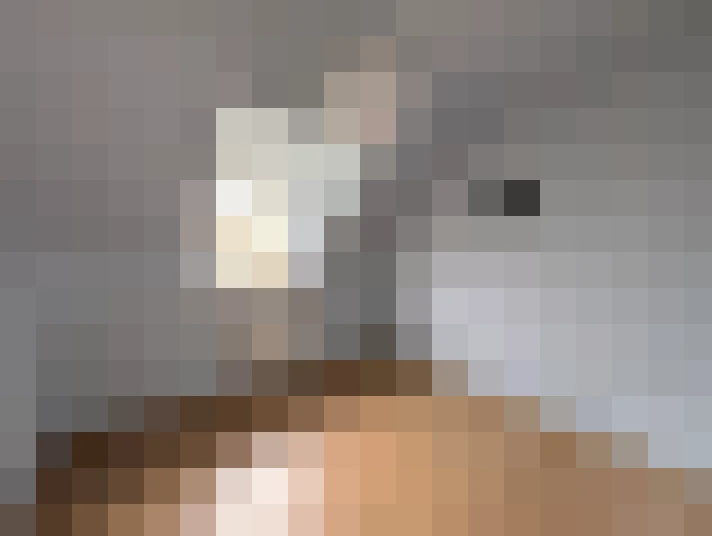  / #8