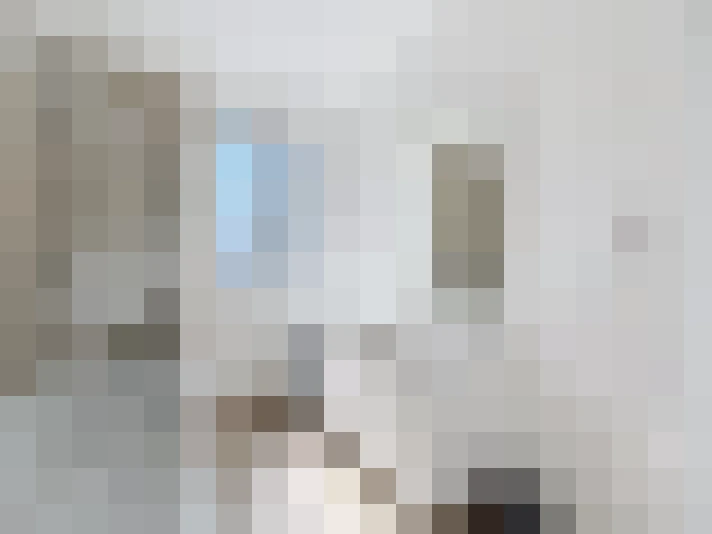  / #8