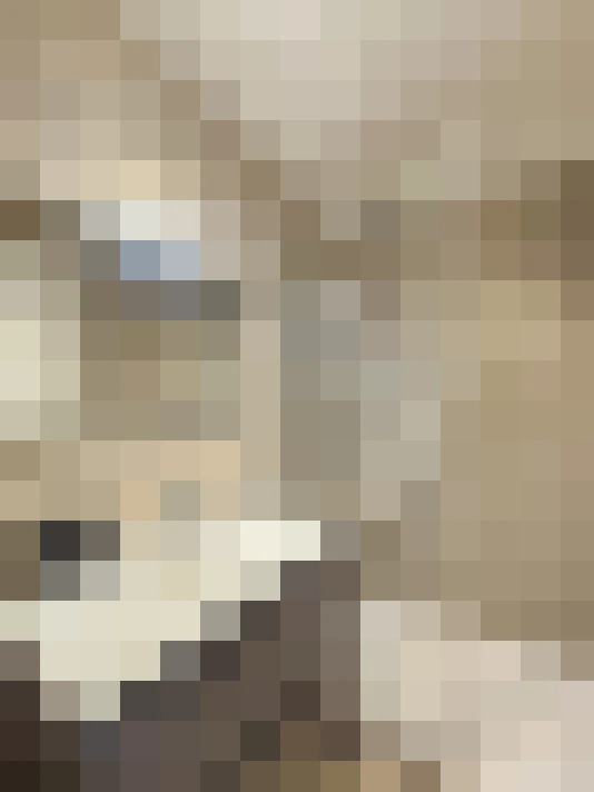  / #13