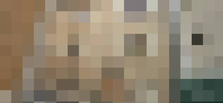  / #14