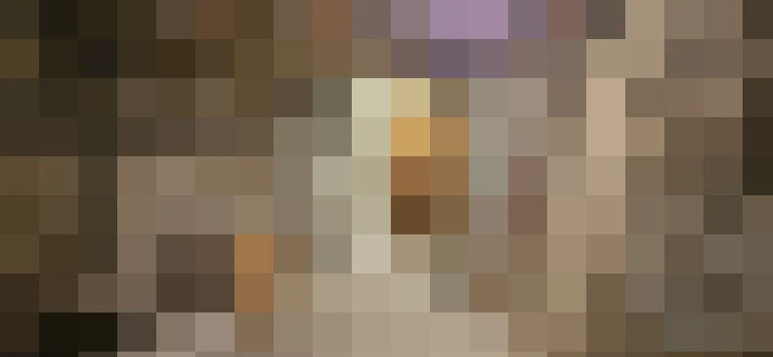  / #13