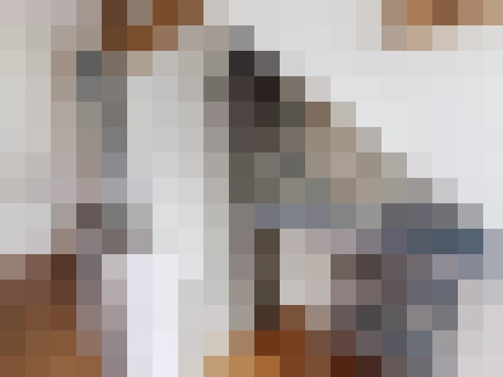  / #14