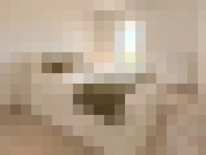  / #8