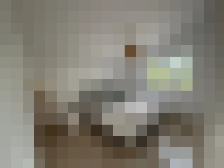  / #11