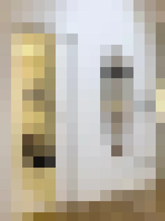  / #8