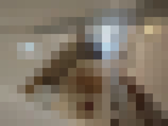  / #14