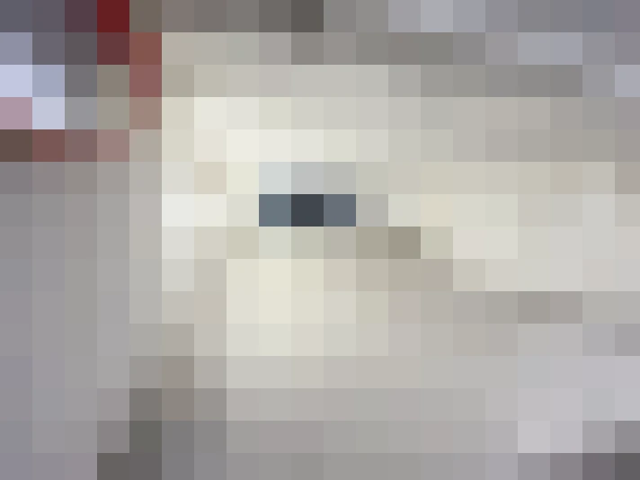  / #24