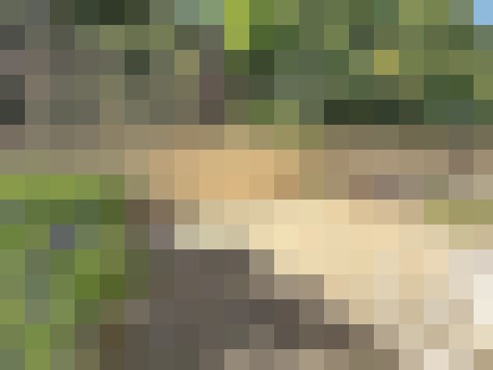 / #14