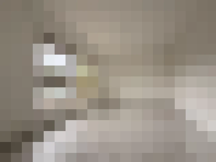  / #11