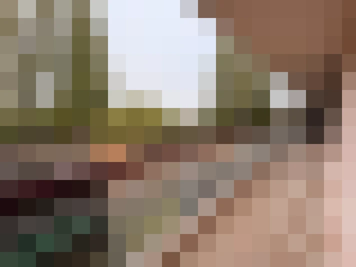  / #15