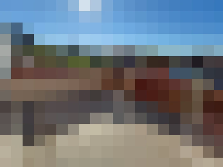  / #11