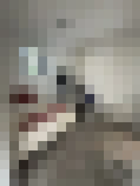  / #8