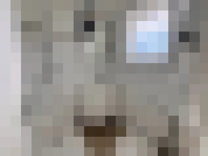  / #22