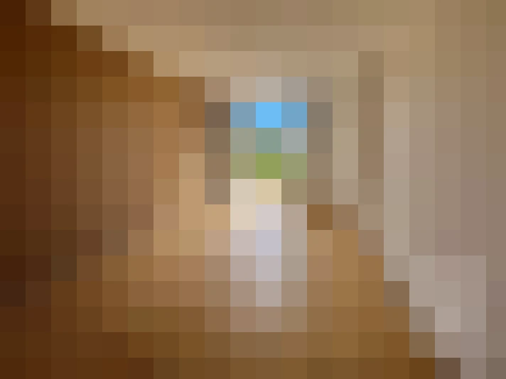  / #14