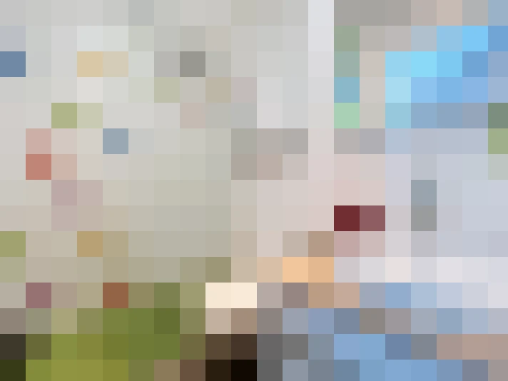  / #18