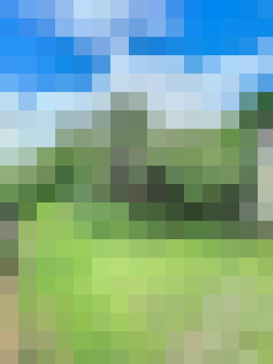  / #14