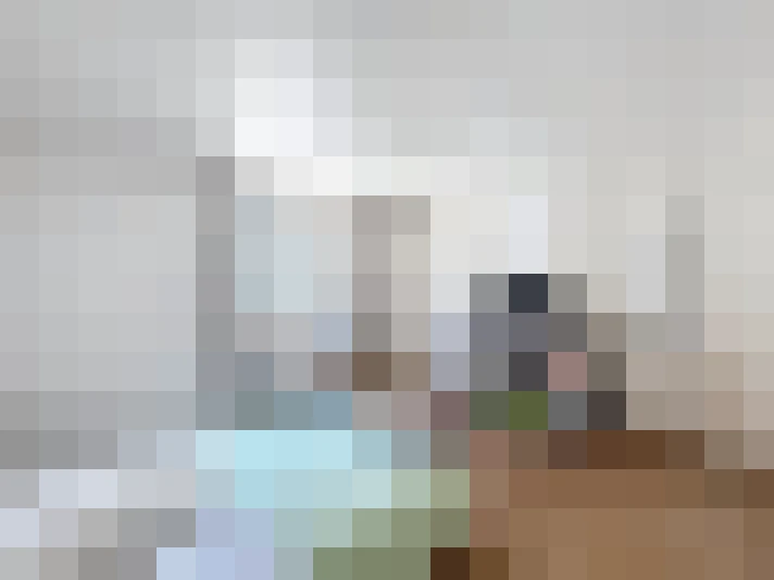  / #14