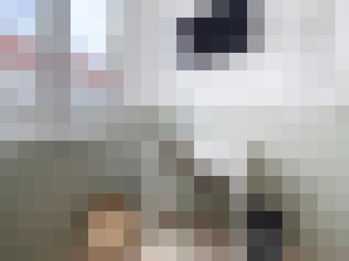  / #11