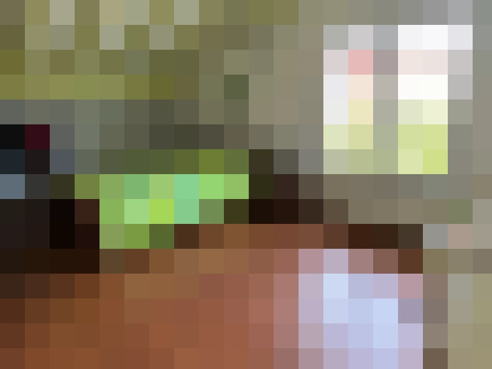  / #13
