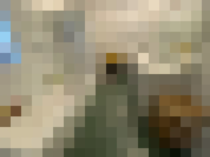  / #15