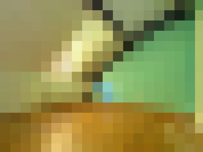  / #11