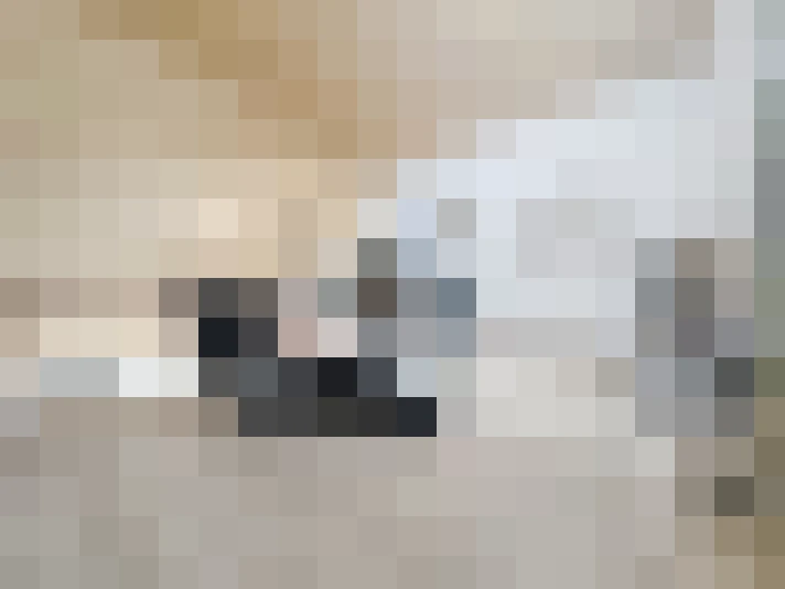 / #15