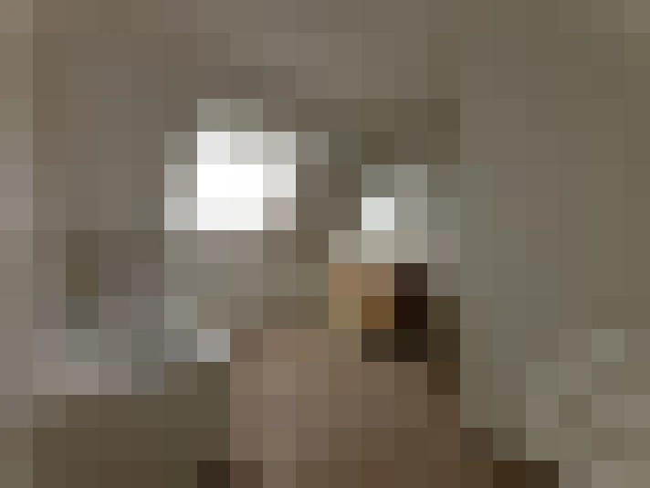  / #12