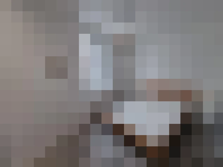  / #8