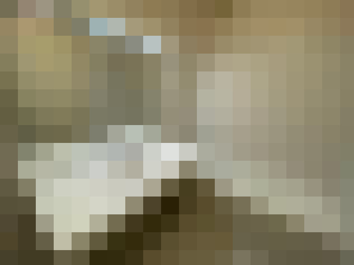  / #8