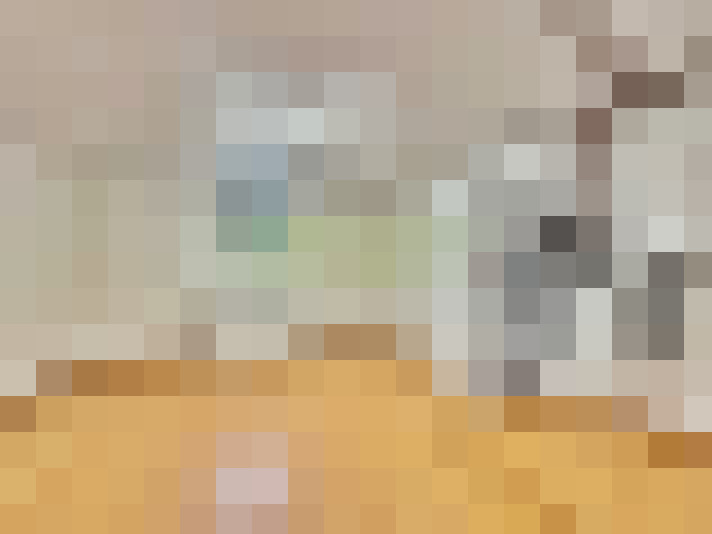 / #15