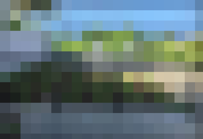  / #8