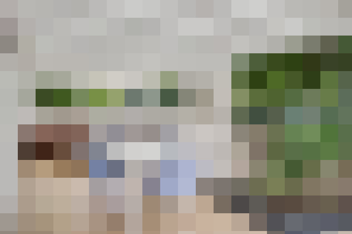  / #15