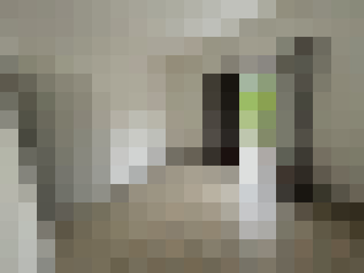  / #7