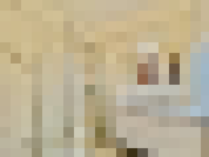  / #11