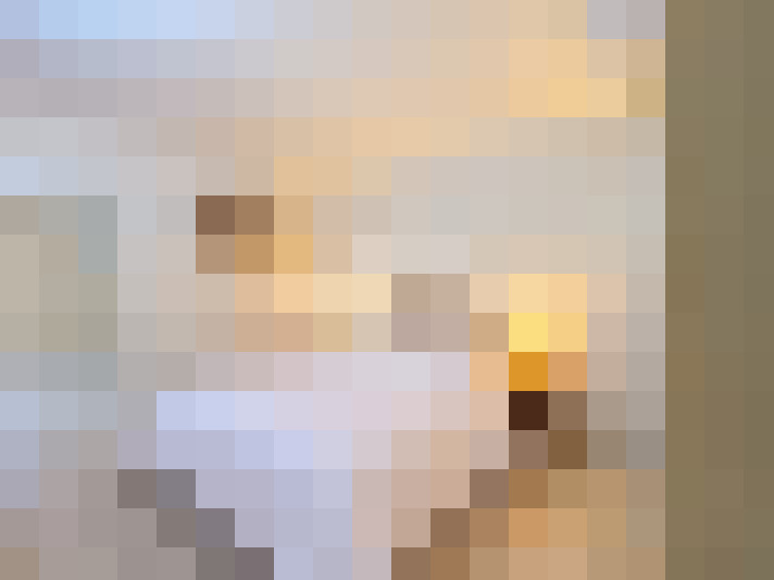  / #11