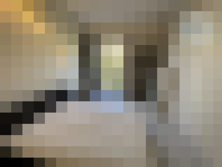  / #14
