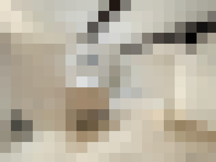  / #8