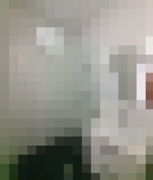  / #12