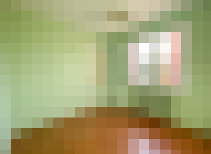  / #8