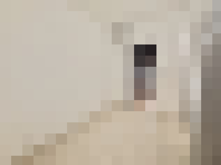  / #3