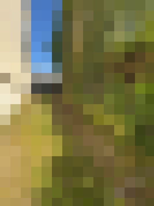  / #14