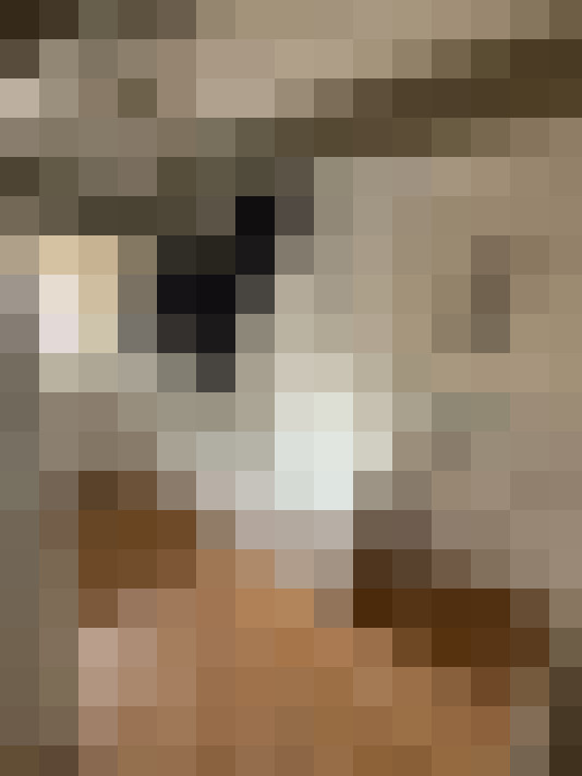  / #16